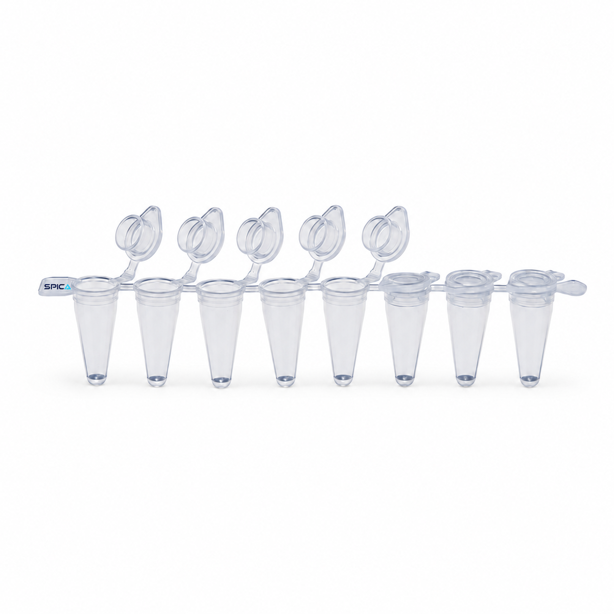 8-strip PCR Tubes - SP-137-238C(EX) - SPICA