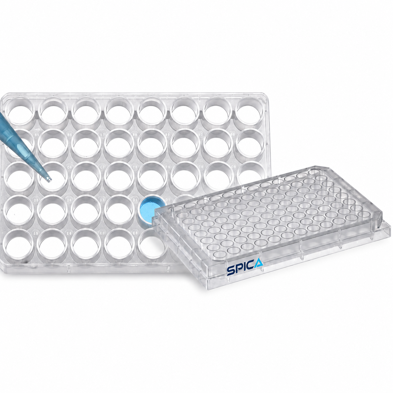 Cell Culture Plates - SP-197-06CPS - SPICA