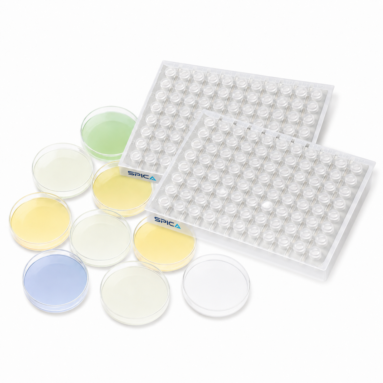 Microbial Preservation Plates - SP-176-531S - SPICA