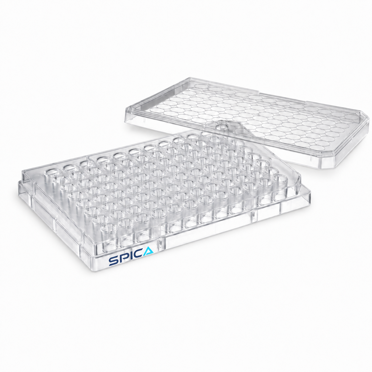 Microplates (Flat bottom, Round bottom, Conical bottom) - SP-196-06FS - SPICA