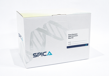 SPICA Plant Genomic DNA Extraction Maxi Kit – image 2