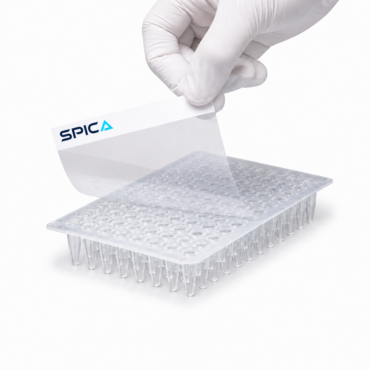 Plate Seals - SP-547-KTS-HC - SPICA